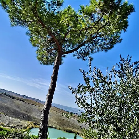 Alloggio per agriturismo Palazzo Conti - B